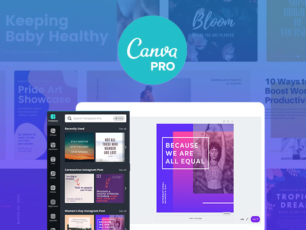 canva-pricing-explained-2023-is-canva-pro-worth-it