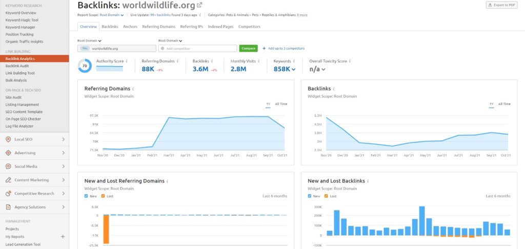 semrush backlink analysis