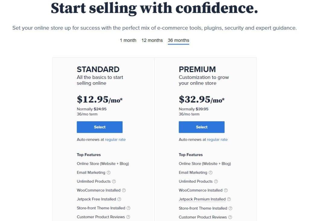bluehost review online store plan