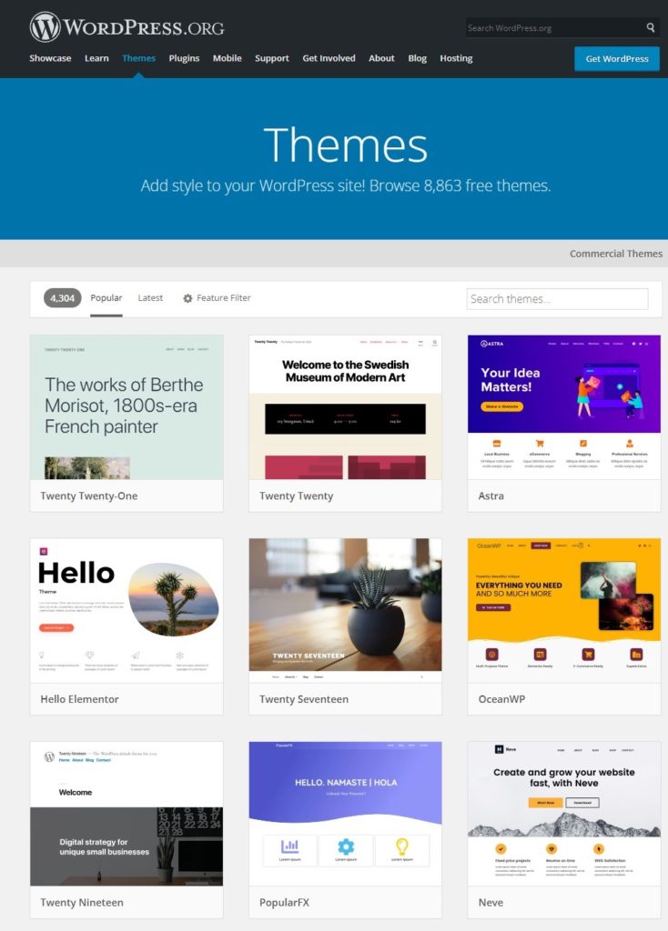 wordpress theme