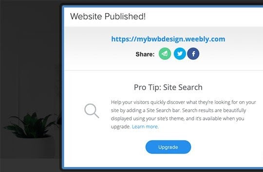 publish your weebly website