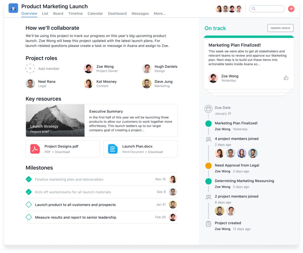 asana reivew project view