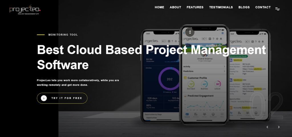 use projectLeo for salesforce project management