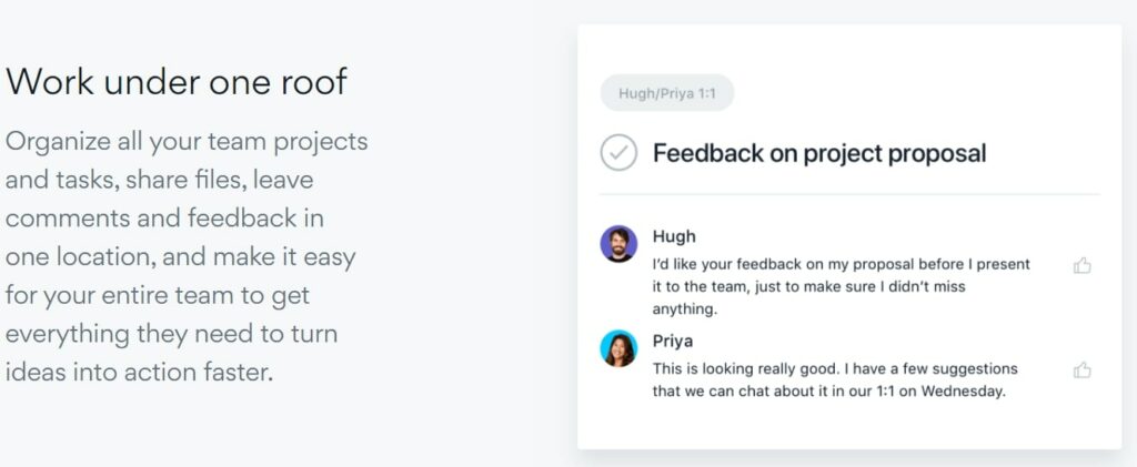 Asana Team Collaboration