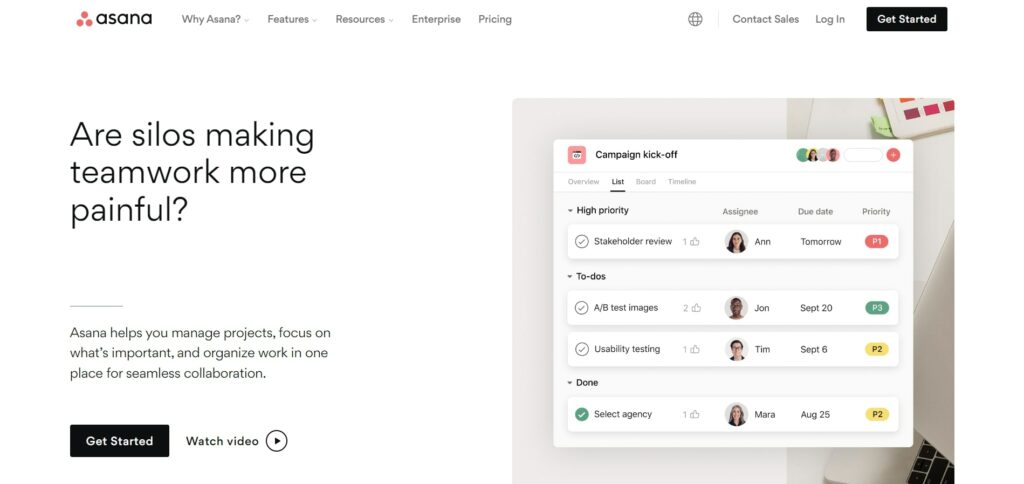 Asana Project Management Software