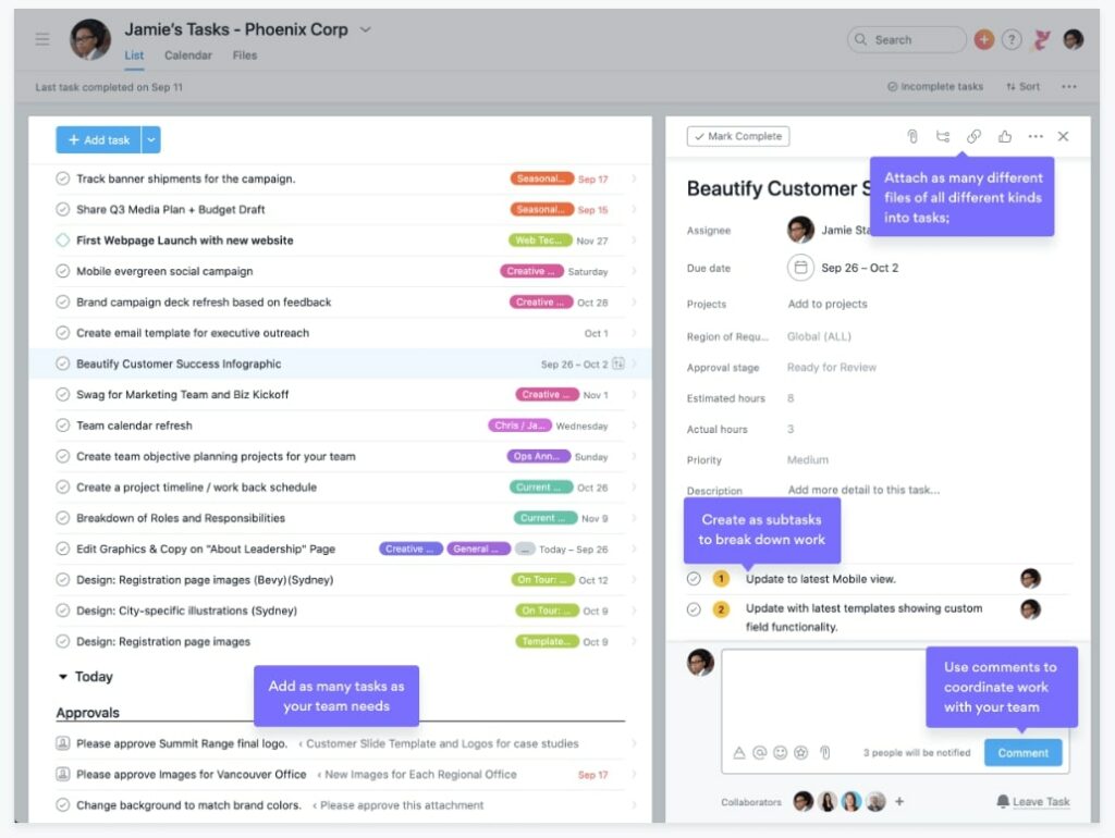 Asana Task Management