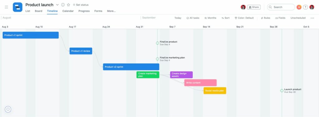 Asana project management tool Gantt chart