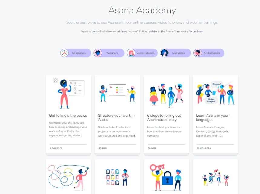 Asana project management tool academy