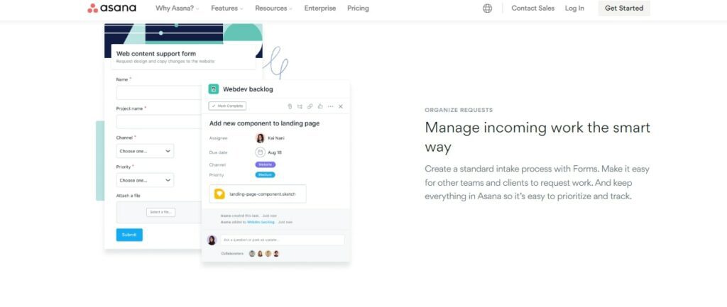 Asana project management tool forms